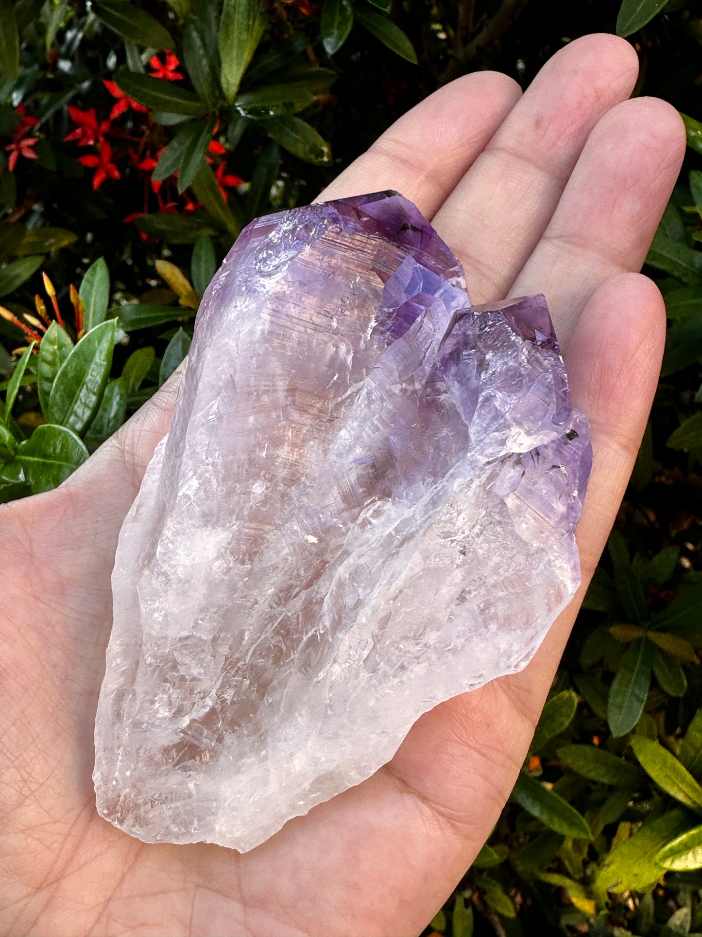 Jumbo Amethyst Point, 2.5 - 5" Large Raw Amethyst Natural Point, Pick a Weight