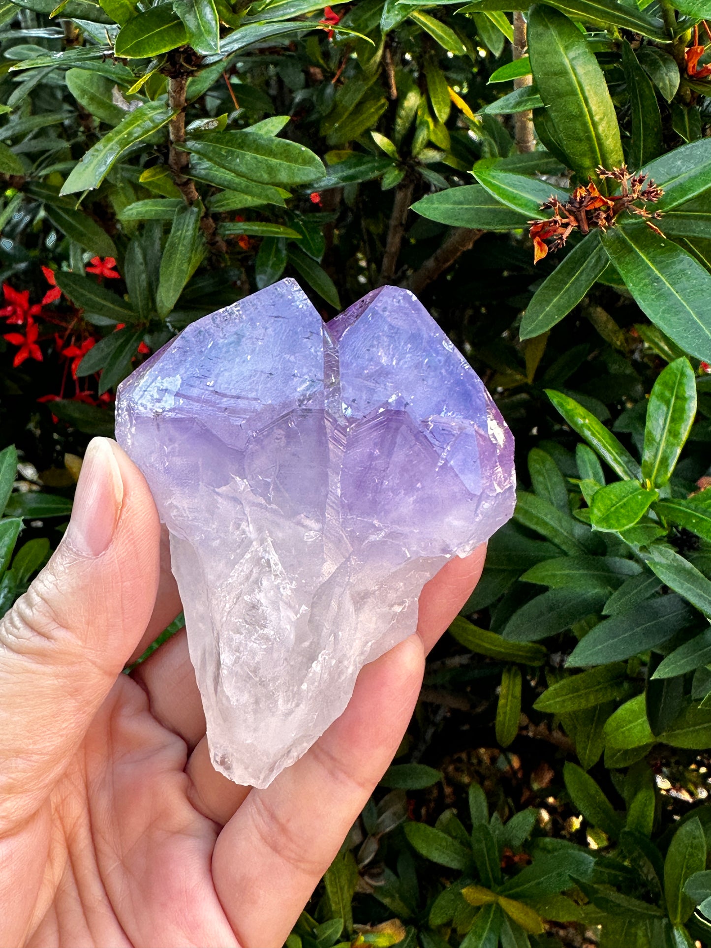 Jumbo Amethyst Point, 2.5 - 5" Large Raw Amethyst Natural Point, Pick a Weight