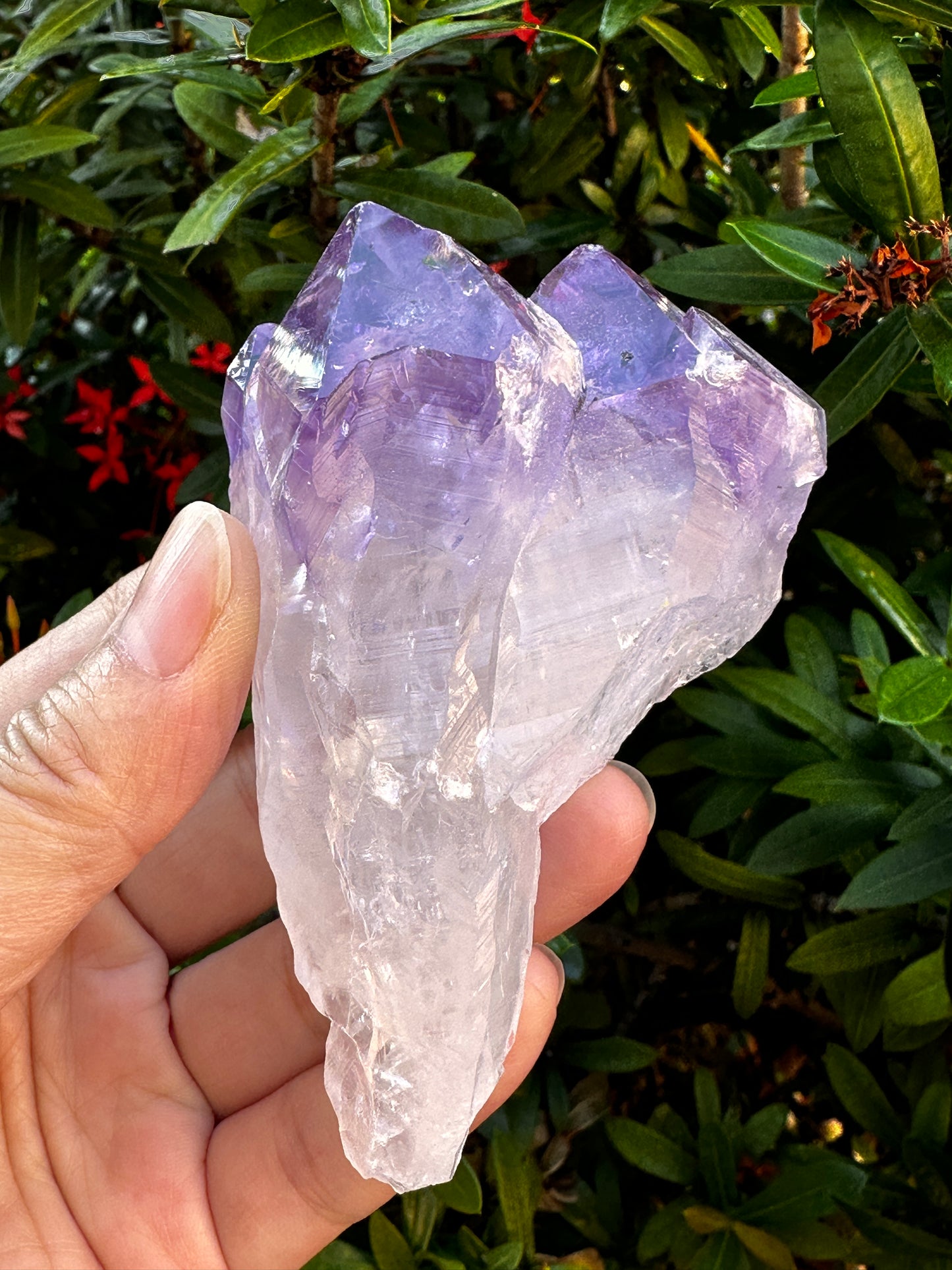 Jumbo Amethyst Point, 2.5 - 5" Large Raw Amethyst Natural Point, Pick a Weight