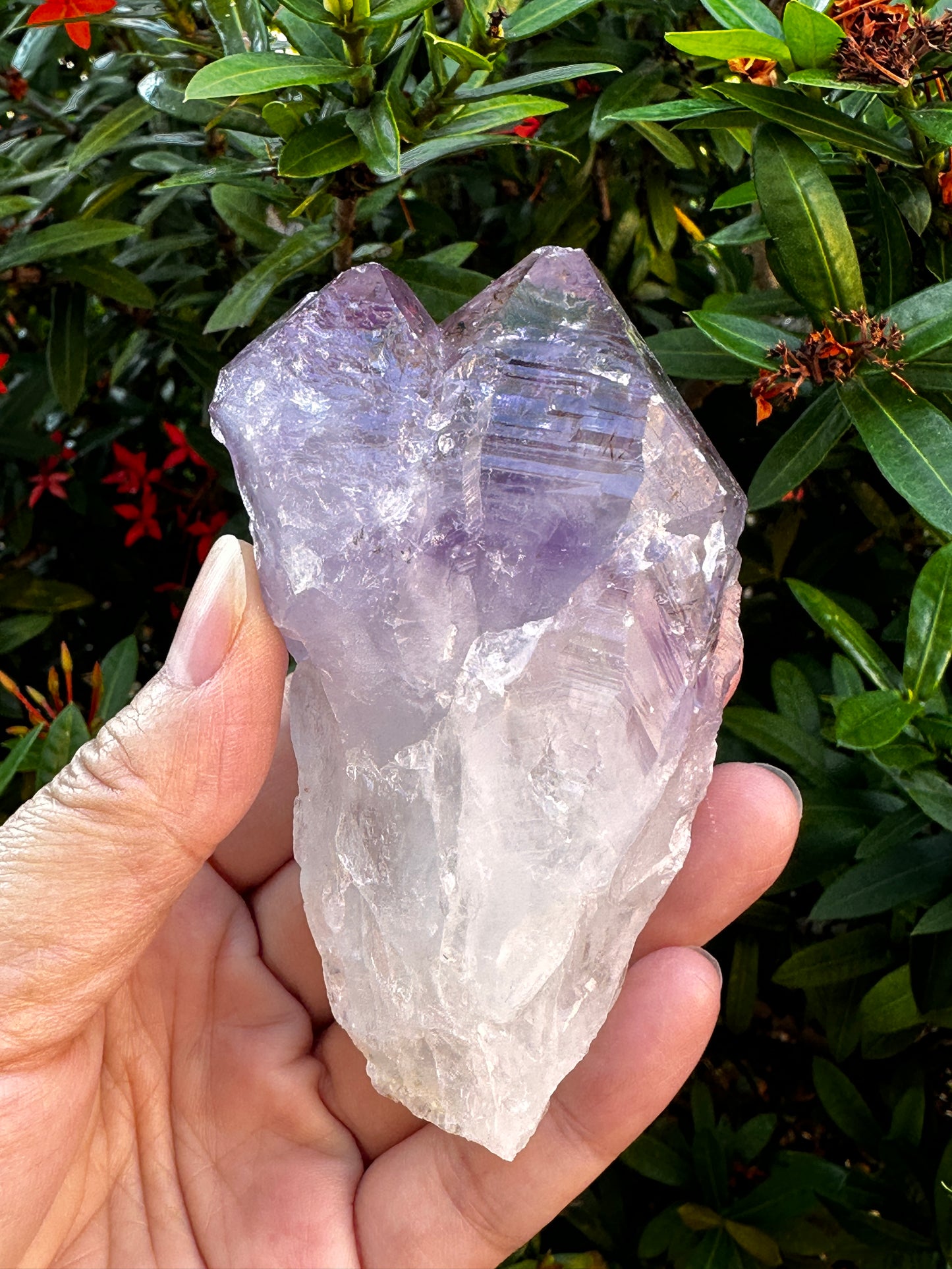 Jumbo Amethyst Point, 2.5 - 5" Large Raw Amethyst Natural Point, Pick a Weight