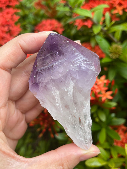 Extra Large Amethyst Rough Points, 2.5 - 3.25" Raw Amethyst Points, Bulk Lot