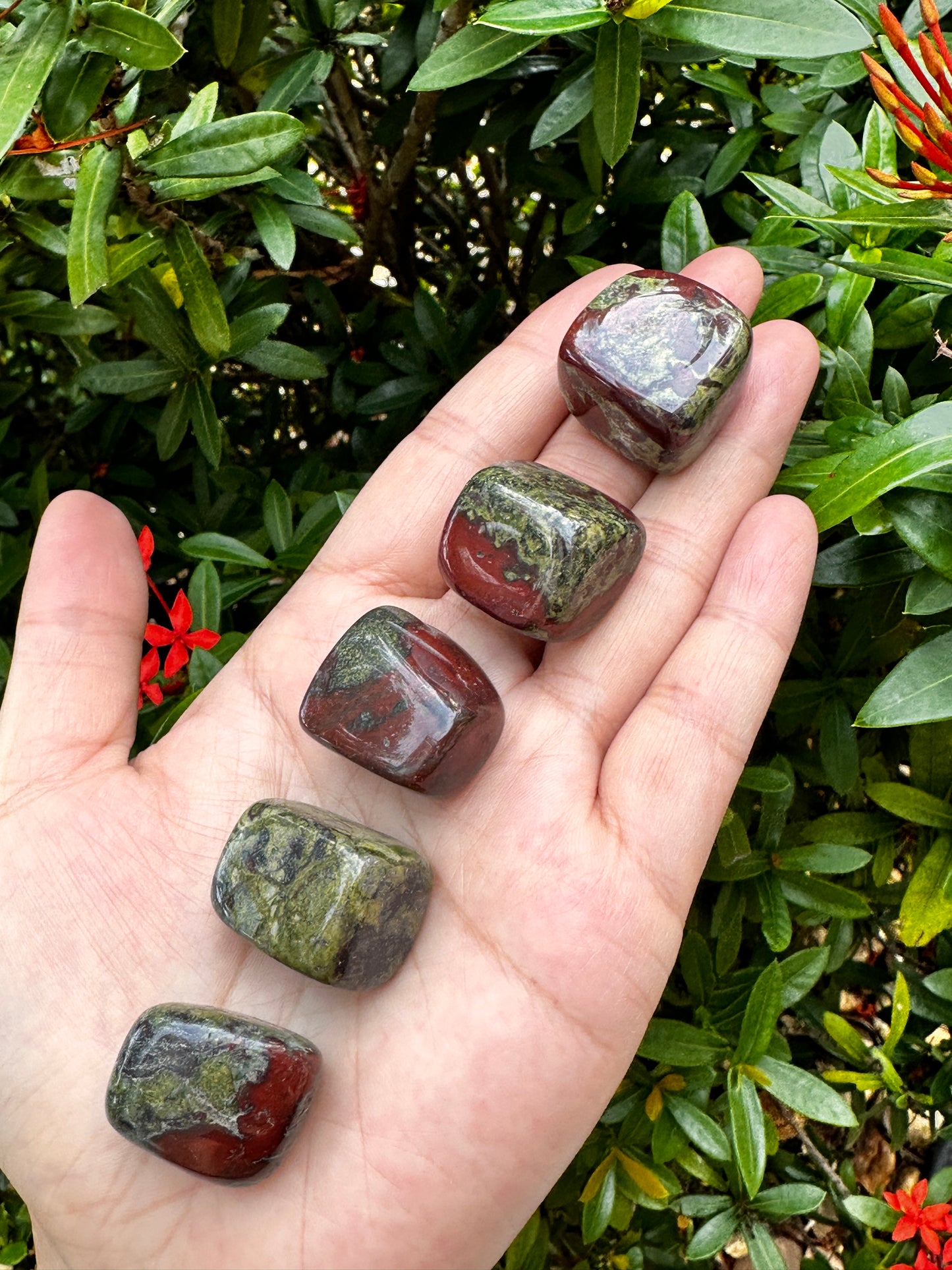 Grade A++Dragon Blood Jasper Tumbled Stones 0.75-1.25", Wholesale Bulk Lot