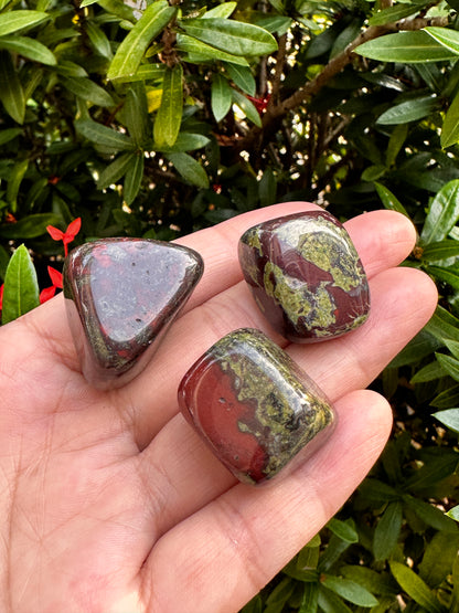 Grade A++Dragon Blood Jasper Tumbled Stones 0.75-1.25", Wholesale Bulk Lot