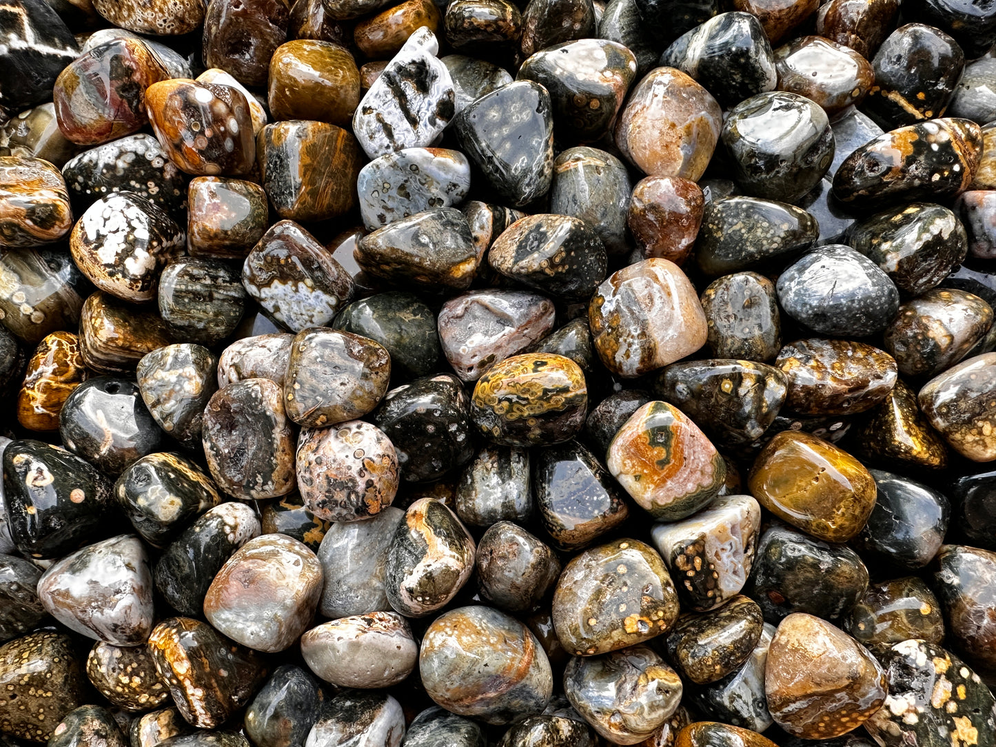 Grade A++ Ocean Jasper Tumbled Stones, 0.75-1 inch Sea Jasper Stones, Bulk Lot