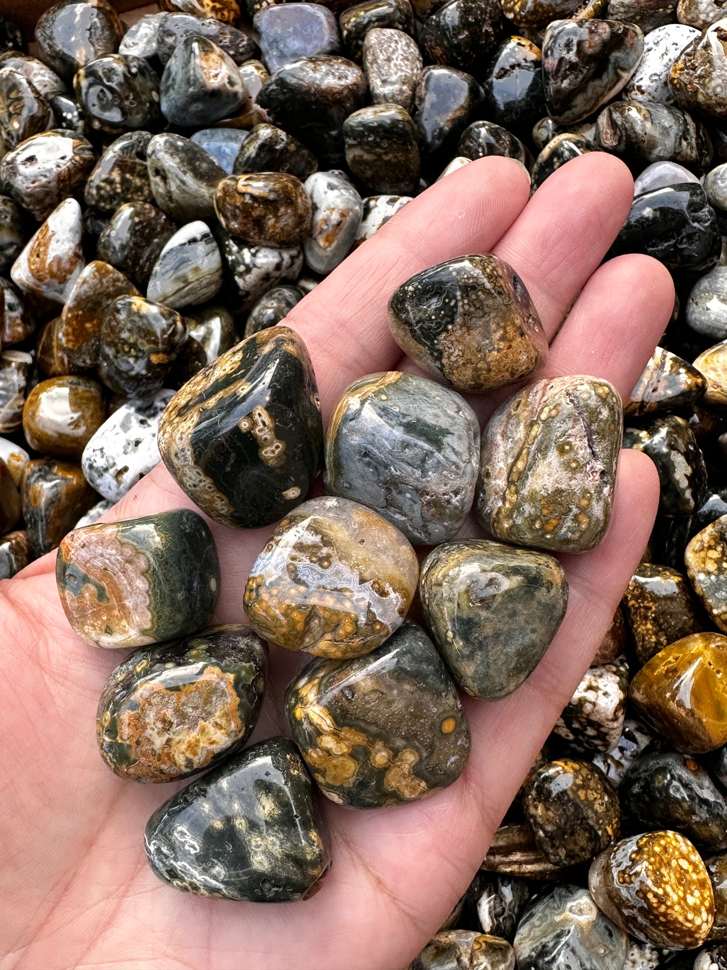 Grade A++ Ocean Jasper Tumbled Stones, 0.75-1 inch Sea Jasper Stones, Bulk Lot