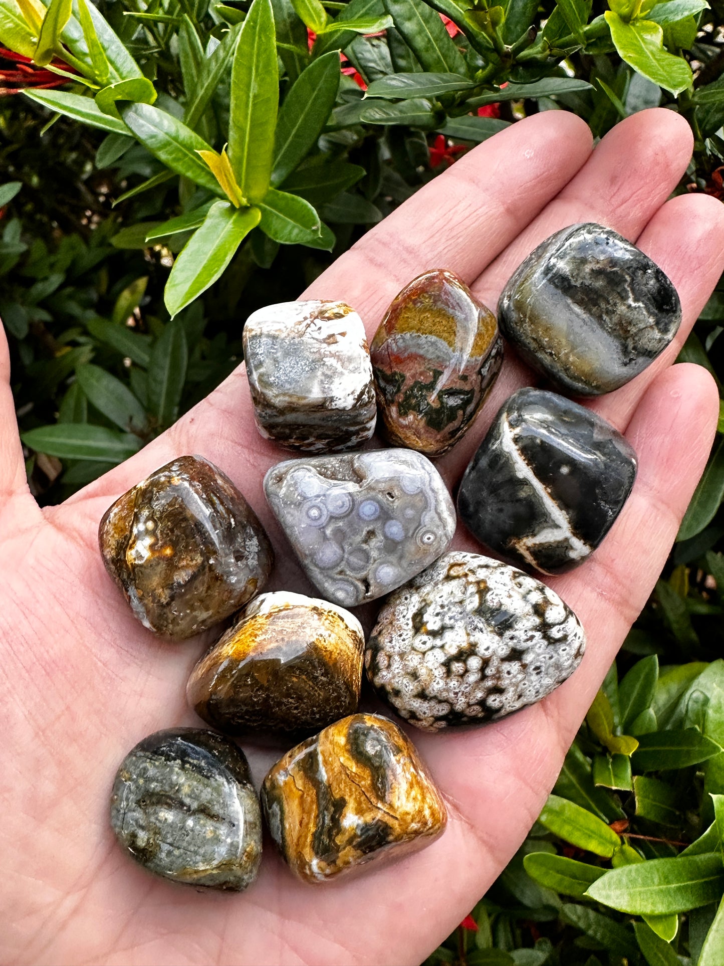 Grade A++ Ocean Jasper Tumbled Stones, 0.75-1 inch Sea Jasper Stones, Bulk Lot