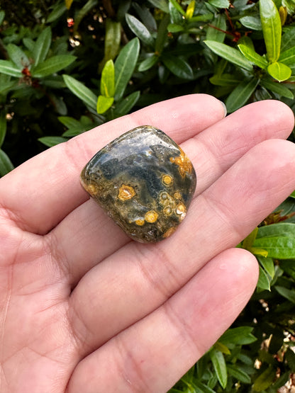 Grade A++ Ocean Jasper Tumbled Stones, 0.75-1 inch Tumbled Sea Jasper Stones