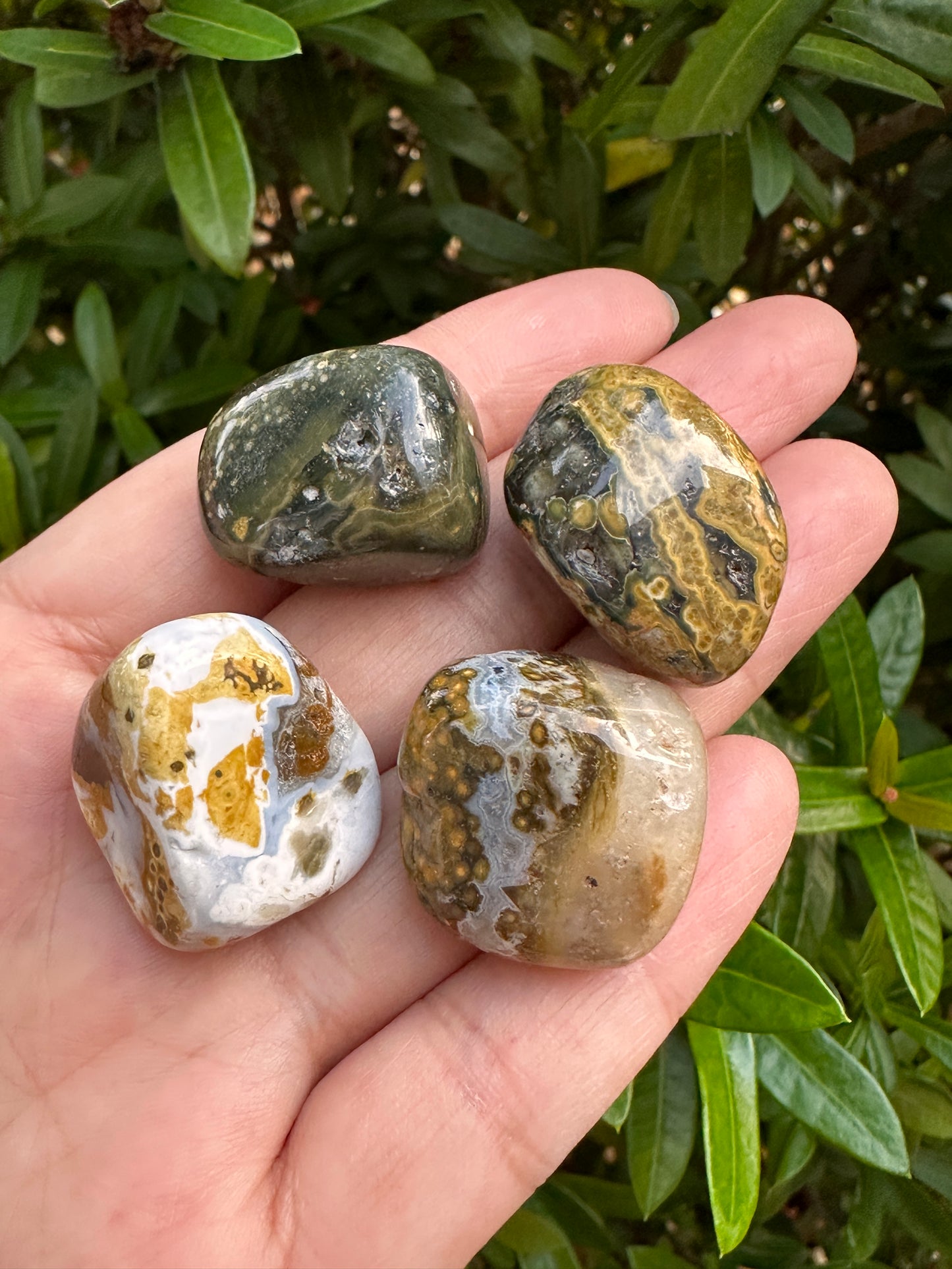 Grade A++ Ocean Jasper Tumbled Stones, 0.75-1 inch Sea Jasper Stones, Bulk Lot