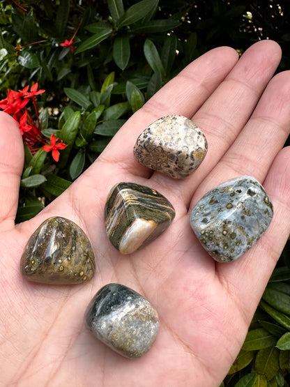 Grade A++ Ocean Jasper Tumbled Stones, 0.75-1 inch Sea Jasper Stones, Bulk Lot