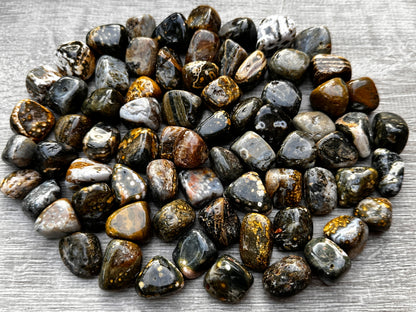 Grade A++ Ocean Jasper Tumbled Stones, 0.75-1 inch Tumbled Sea Jasper Stones