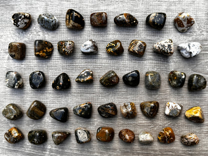 Grade A++ Ocean Jasper Tumbled Stones, 0.75-1 inch Tumbled Sea Jasper Stones