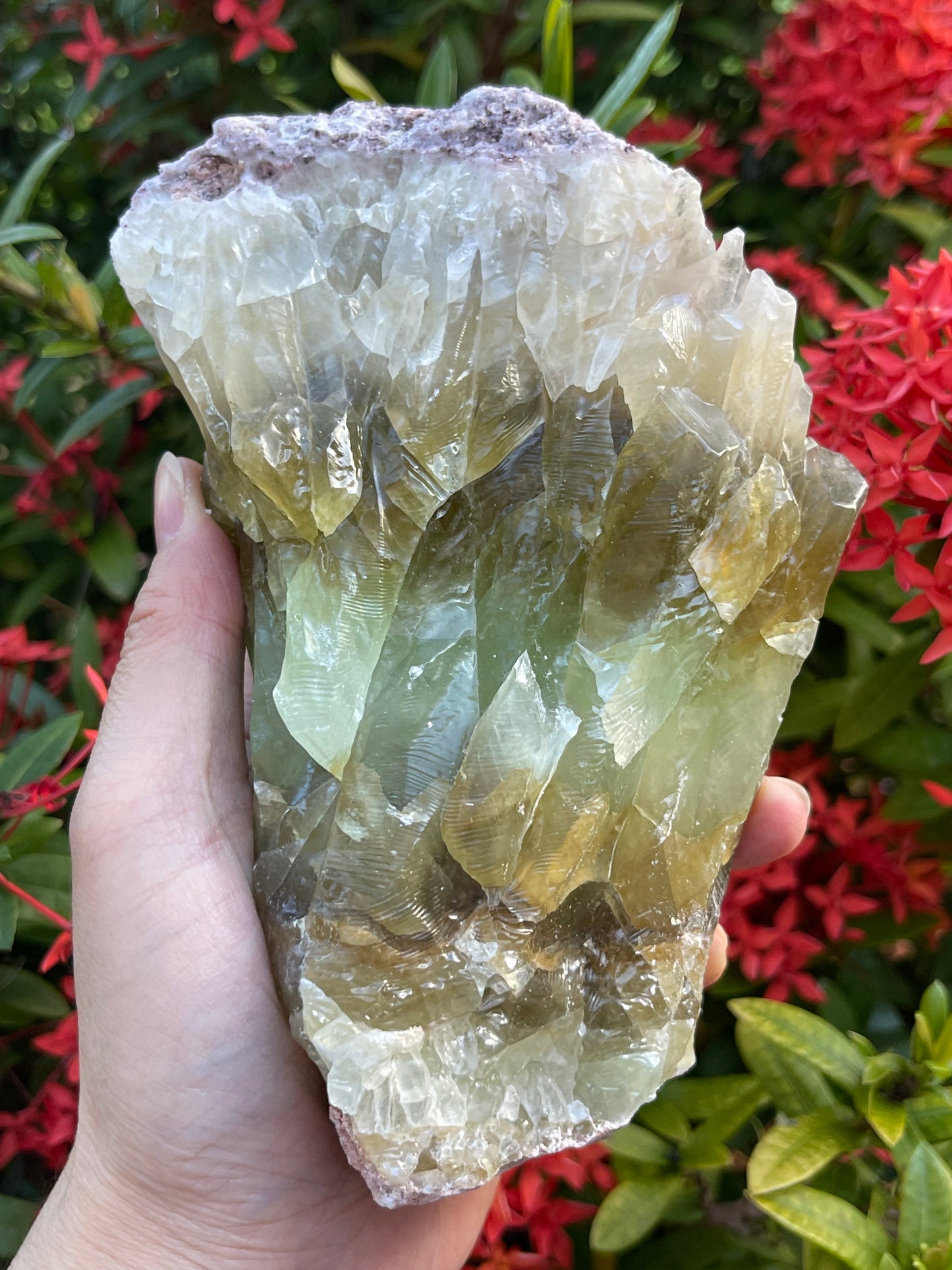 Extra Large Green Calcite Rough Stones, 2.5" - 9" Raw Calcite Green Natural