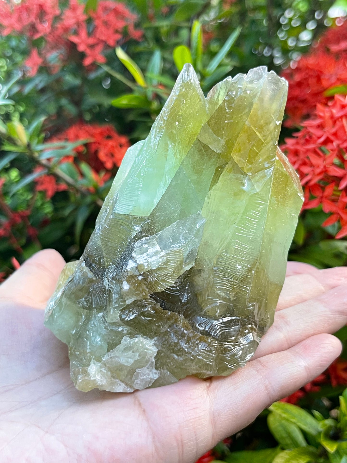 Extra Large Green Calcite Rough Stones, 2.5" - 9" Raw Calcite Green Natural