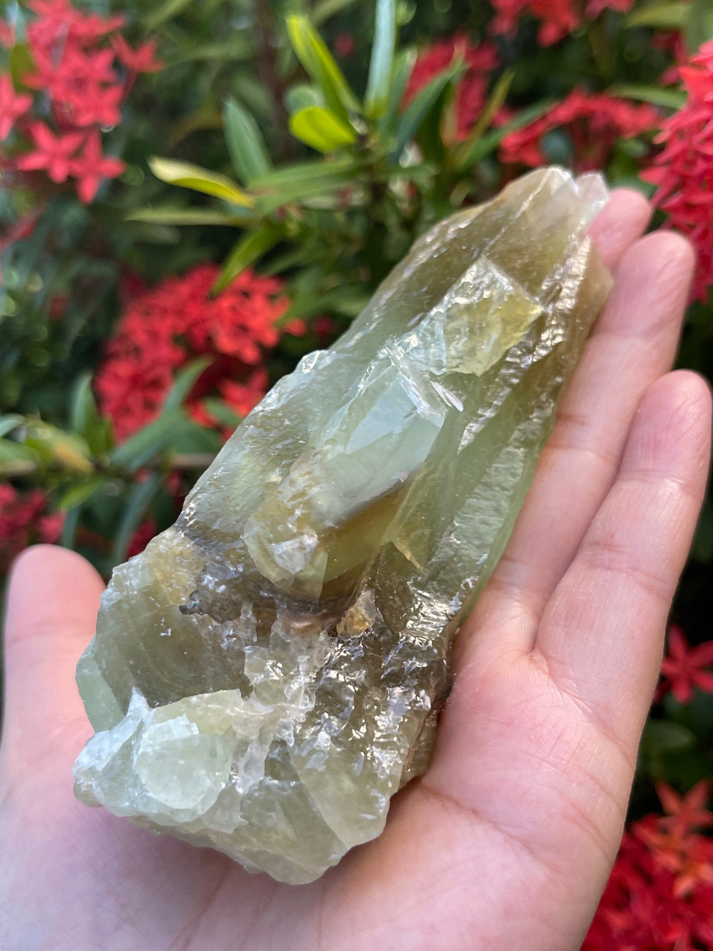 Extra Large Green Calcite Rough Stones, 2.5" - 9" Raw Calcite Green Natural