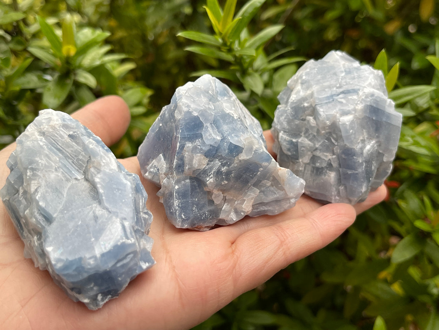 Grade A+ Large Blue Calcite Rough Natural, 2-3" Blue Calcite, Wholesale Bulk Lot