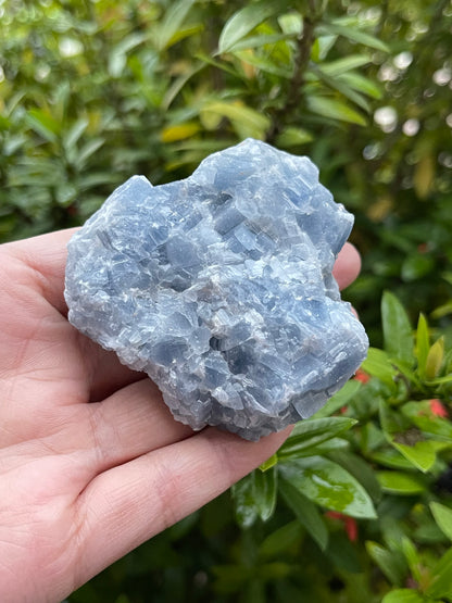 Grade A+ Large Blue Calcite Rough Natural, 2-3" Blue Calcite, Wholesale Bulk Lot