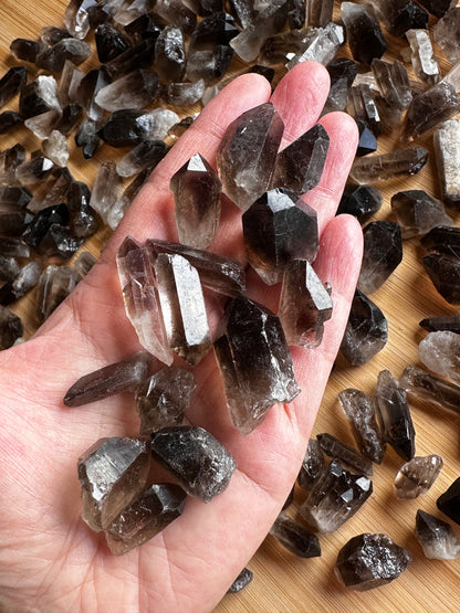 0.75" - 1.25" Small Rough Smoky Quartz Point, Raw Healing Crystals, Wholesale Lot