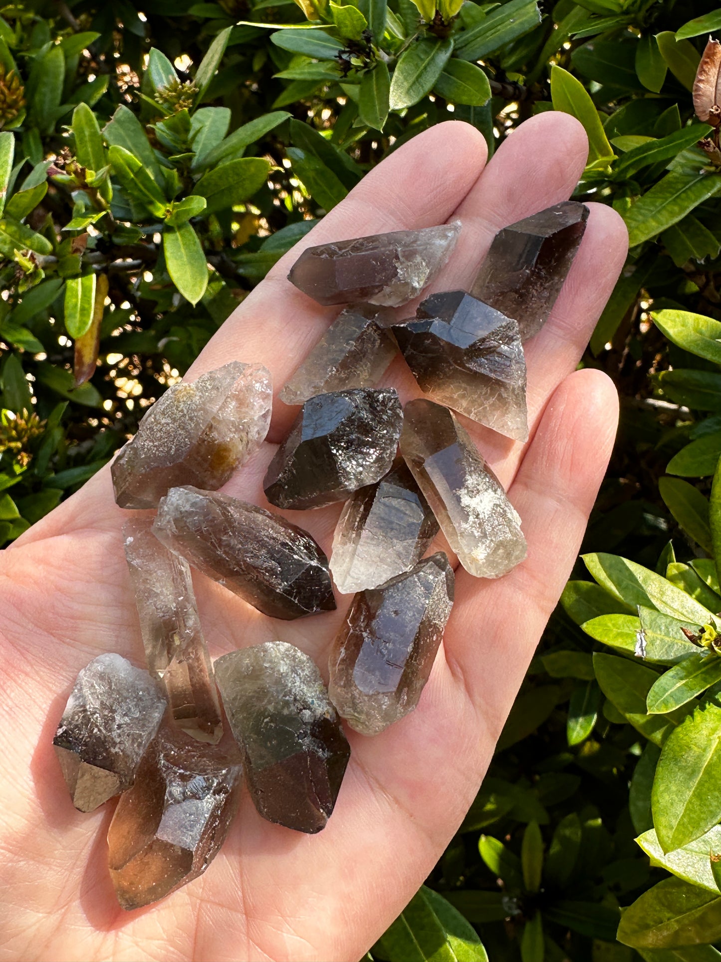 0.75" - 1.25" Small Rough Smoky Quartz Point, Raw Healing Crystals, Wholesale Lot