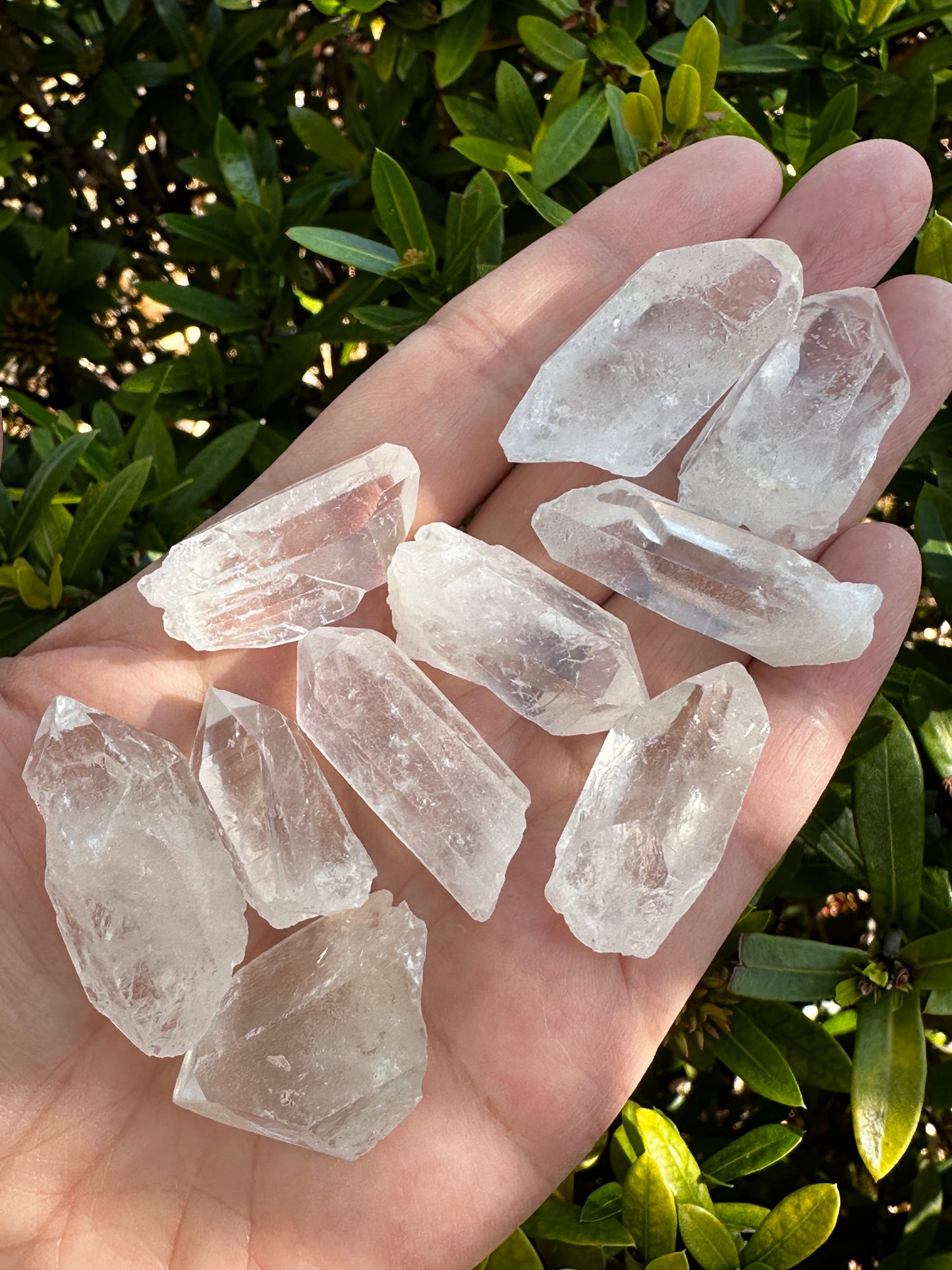 0.75" - 1.25" Small Rough Clear Quartz Point, Raw Healing Crystals, Wholesale Lot