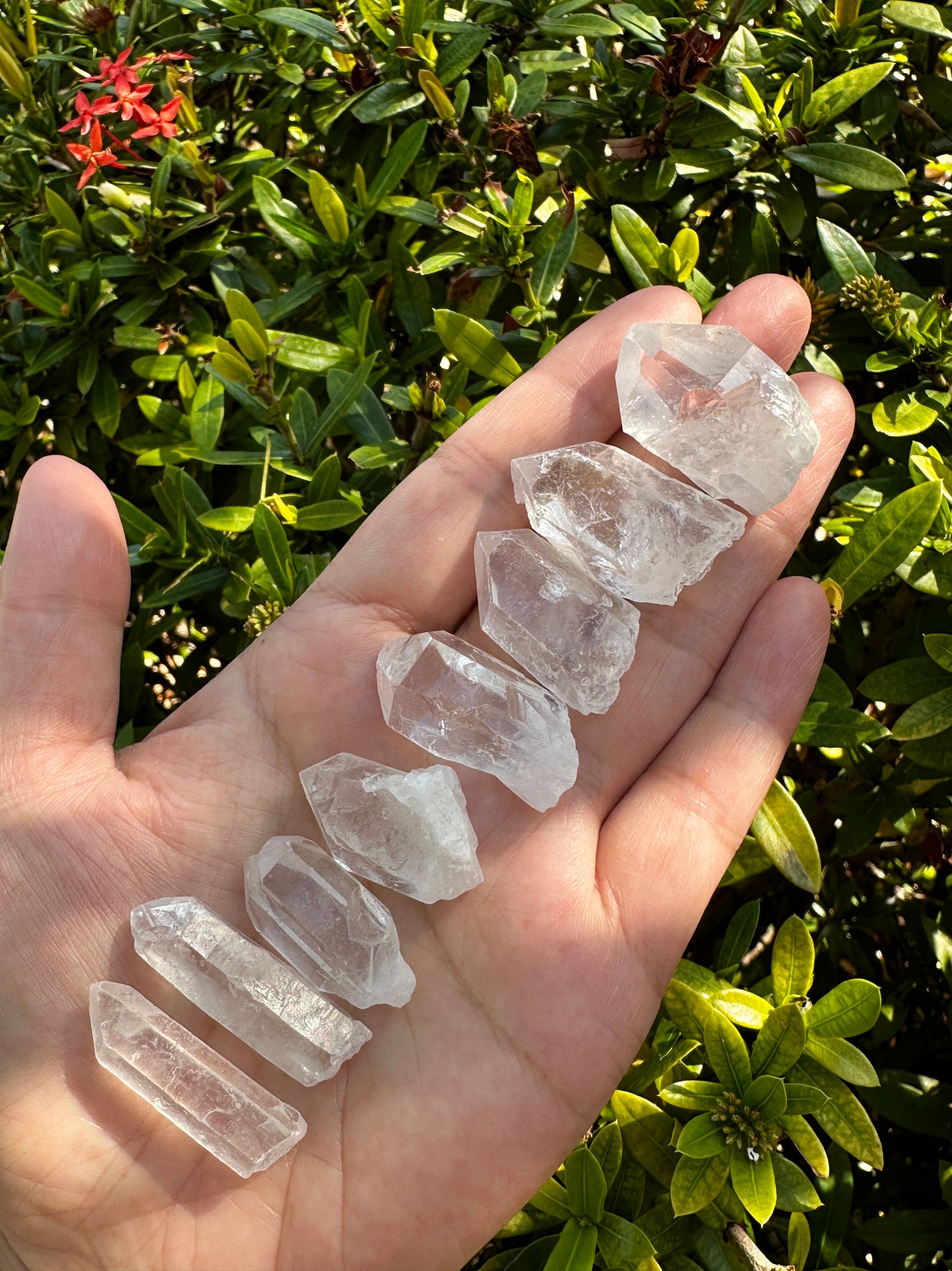 0.75" - 1.25" Small Rough Clear Quartz Point, Raw Healing Crystals, Wholesale Lot