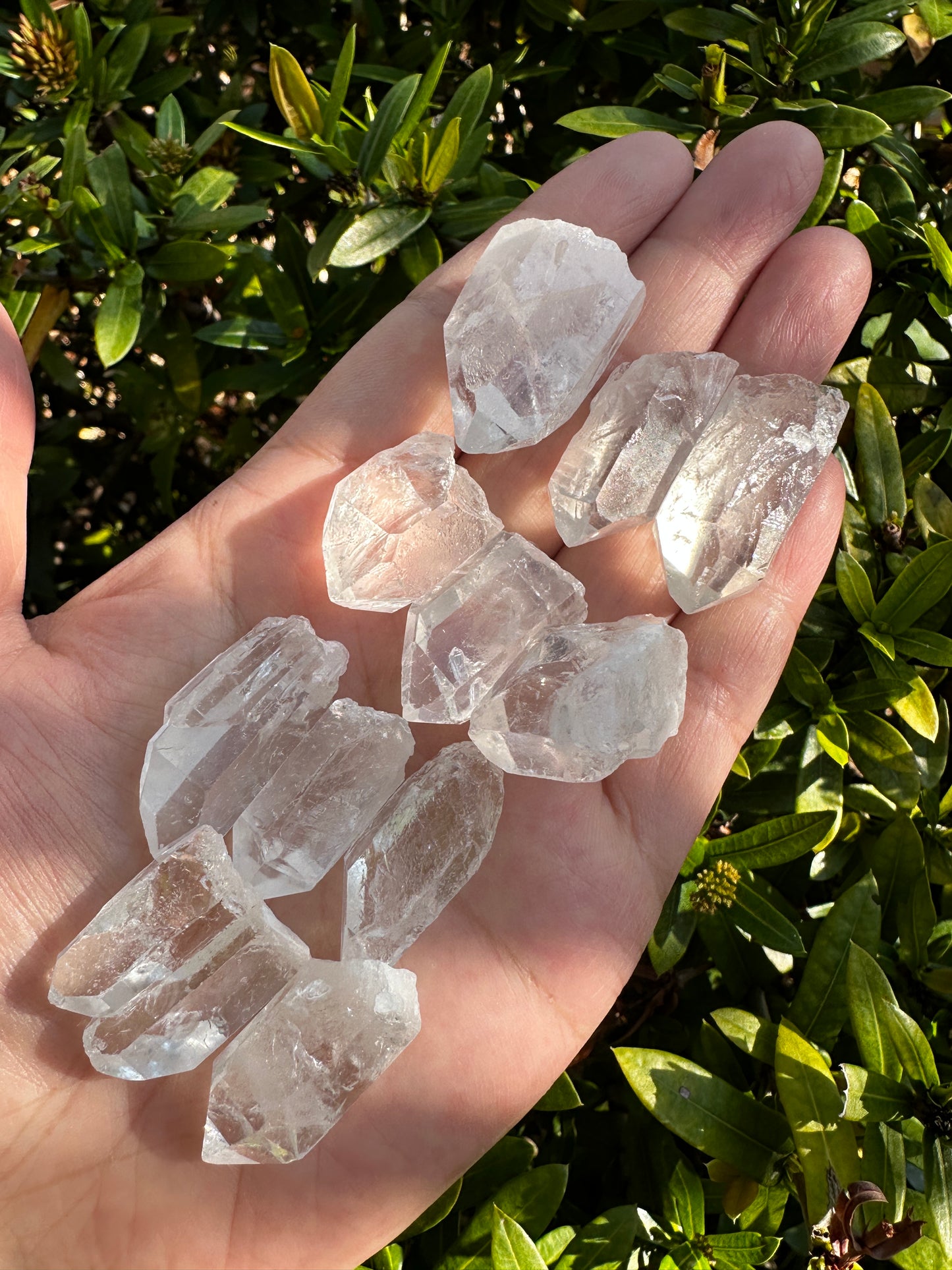 0.75" - 1.25" Small Rough Clear Quartz Point, Raw Healing Crystals, Wholesale Lot