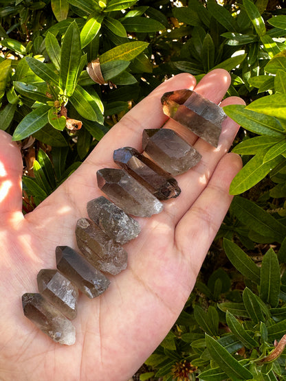 0.75" - 1.25" Small Rough Smoky Quartz Point, Raw Healing Crystals, Wholesale Lot