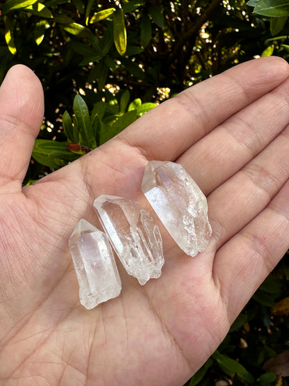 0.75" - 1.25" Small Rough Clear Quartz Point, Raw Healing Crystals, Wholesale Lot