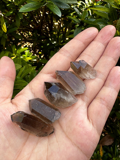 0.75" - 1.25" Small Rough Smoky Quartz Point, Raw Healing Crystals, Wholesale Lot