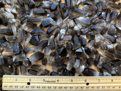 0.75" - 1.25" Small Rough Smoky Quartz Point, Raw Healing Crystals, Wholesale Lot