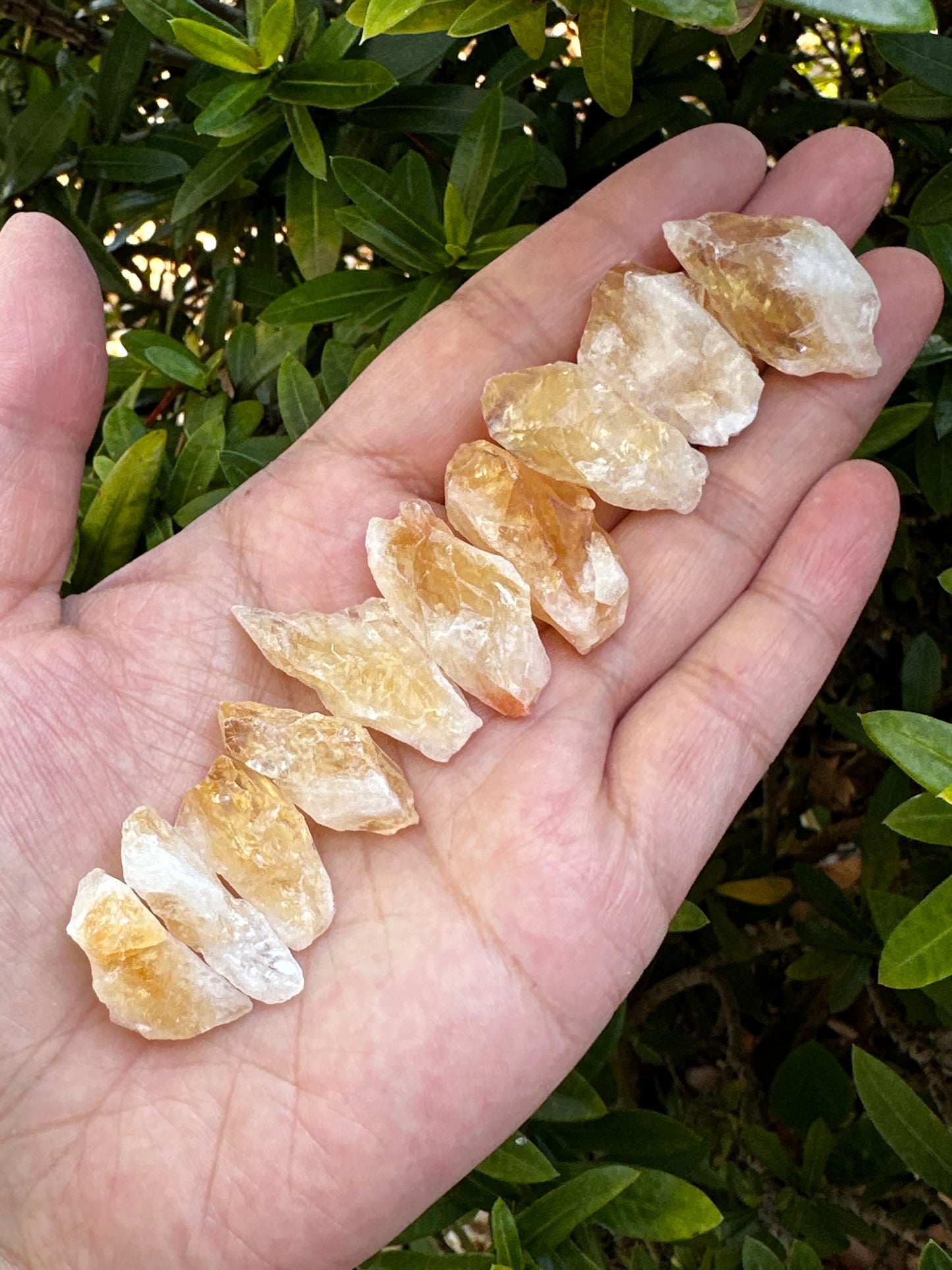 Brazilian Rough Citrine Point / Stone, Raw Healing Crystals Wholesale Bulk Lot