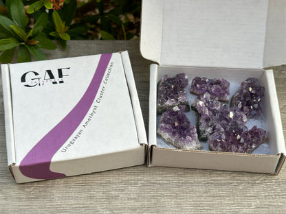 Raw Amethyst Cluster Druzy Collection Box:6-8 oz, 7 - 10 Pieces Natural Amethyst