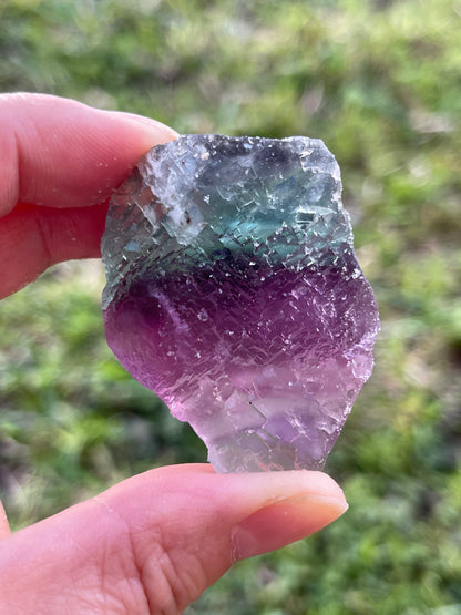 Grade A+ Large Fluorite Raw Natural Stone 2 - 2.5 inches, Wholesale Bulk Lot