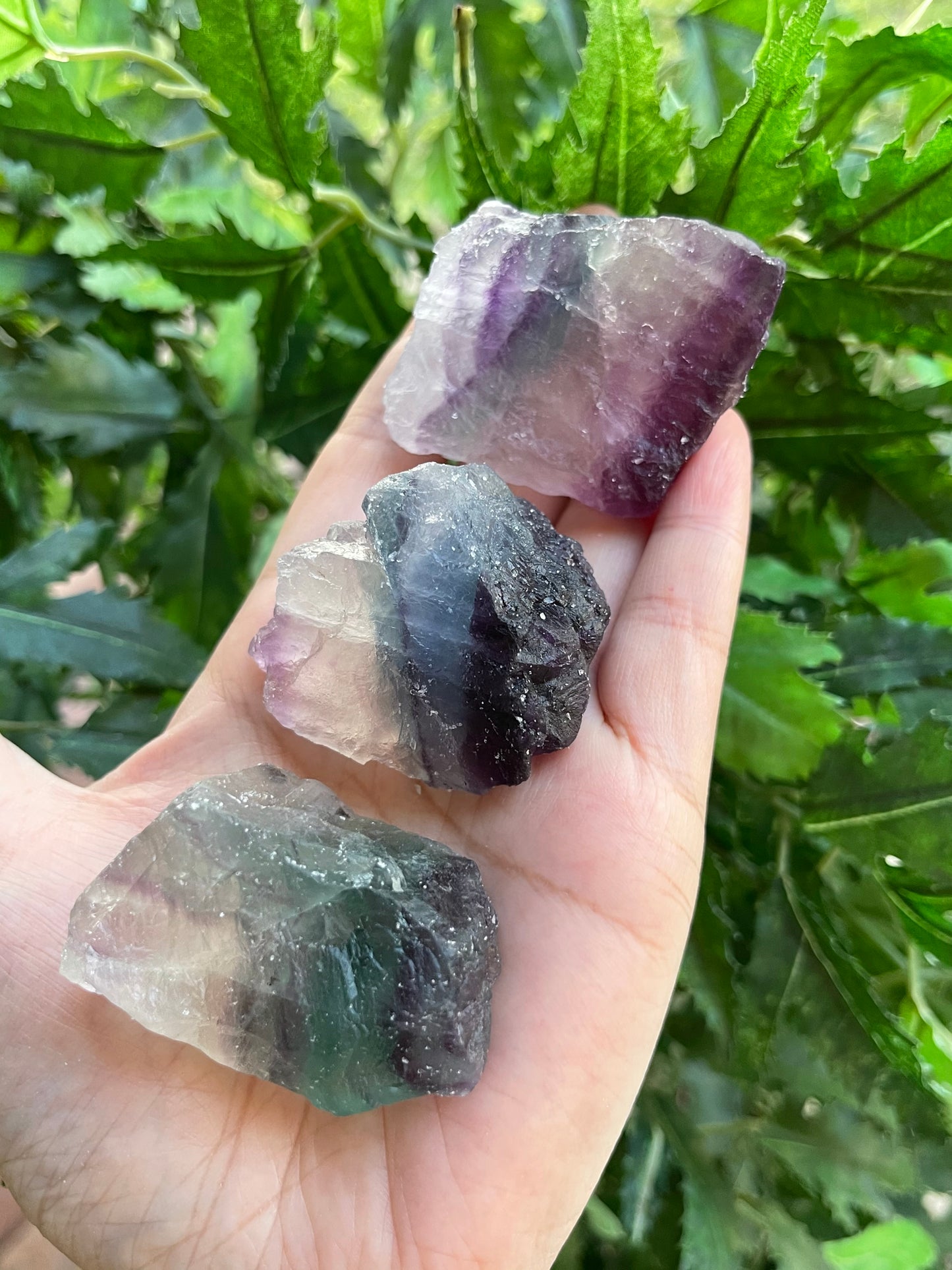 Grade A+ Large Fluorite Raw Natural Stone 2 - 2.5 inches, Wholesale Bulk Lot