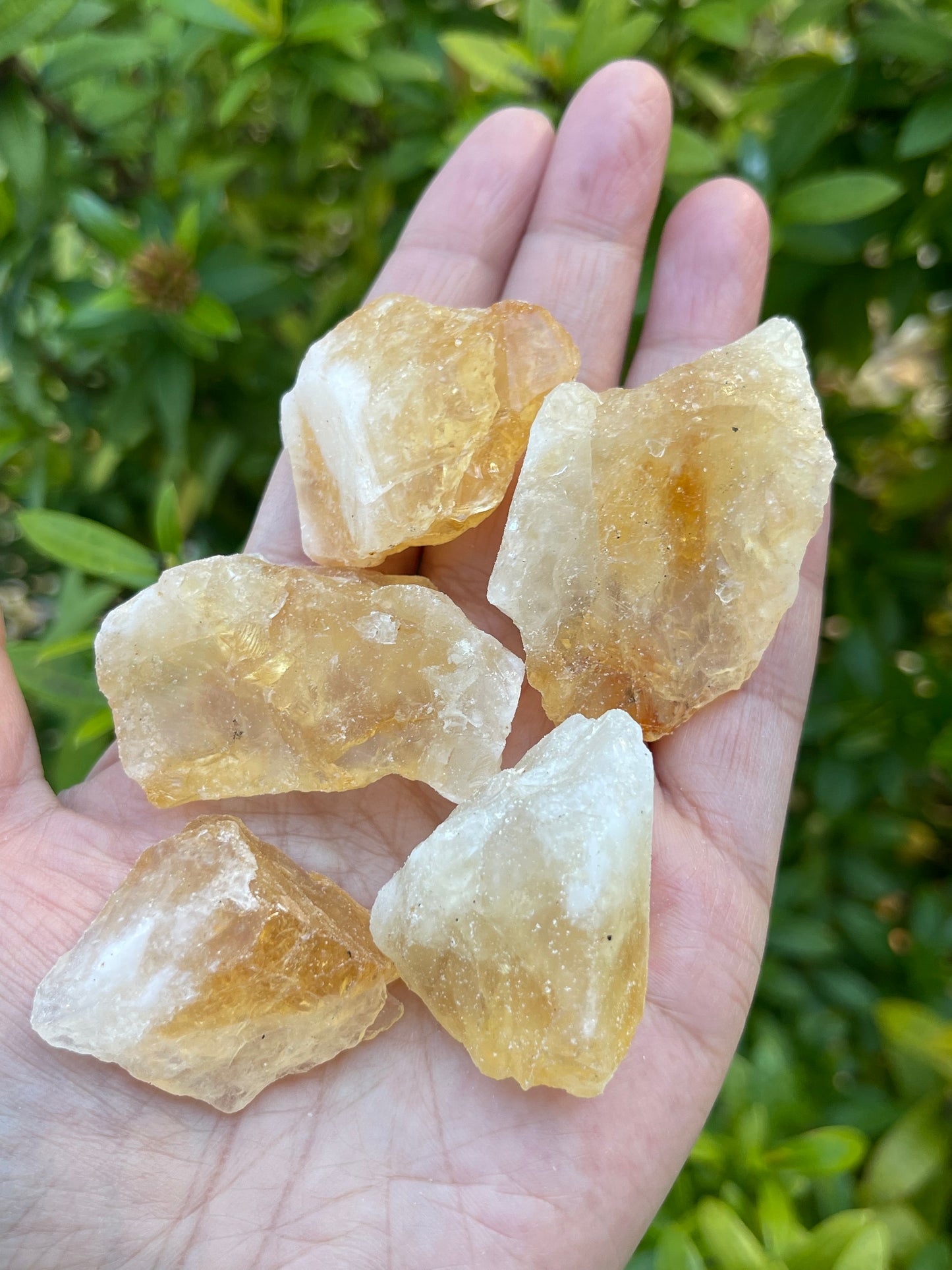 Grade A++ Citrine Raw Stone, 1.25" - 2" Rough Citrine Chunks, Raw Citrine Stones