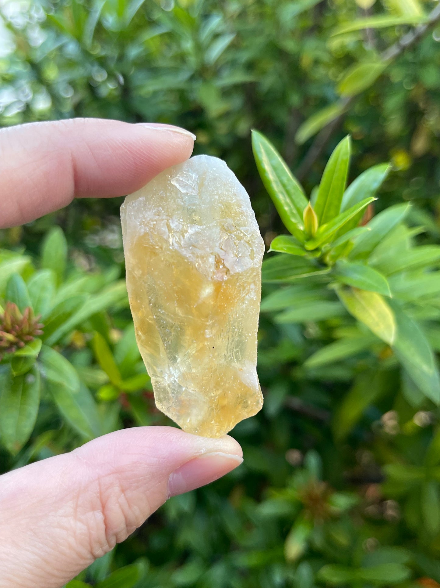 Grade A++ Citrine Raw Stone, 1.25" - 2" Rough Citrine Chunks, Raw Citrine Stones