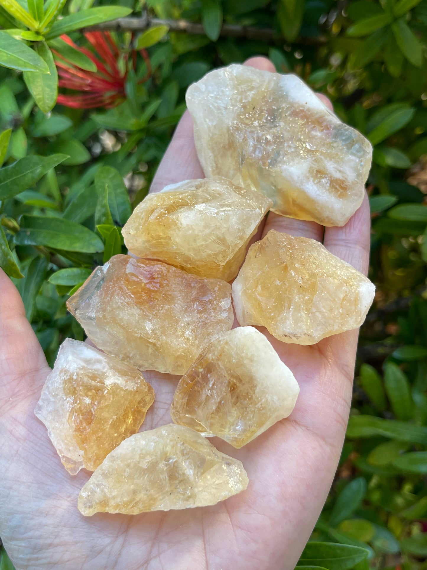 Grade A++ Citrine Raw Stone, 1.25" - 2" Rough Citrine Chunks, Raw Citrine Stones