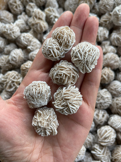 Desert Rose Selenite, 0.85-1.25 Inch Small Desert Gypsum Rose,Wholesale Bulk Lot