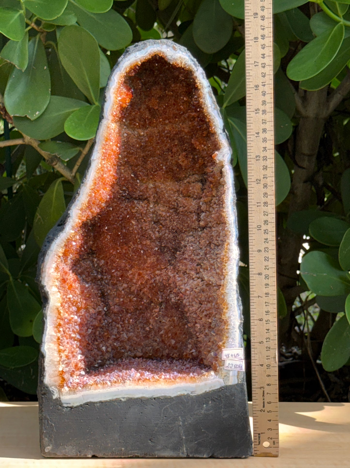 X-Large Citrine Cathedral, Citrine Geode, Honey Citrine Cluster, Pick a Weight