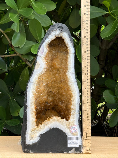 X-Large Citrine Cathedral, Citrine Geode, Honey Citrine Cluster, Pick a Weight