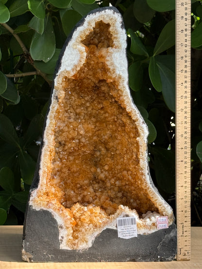 X-Large Citrine Cathedral, Citrine Geode, Honey Citrine Cluster, Pick a Weight