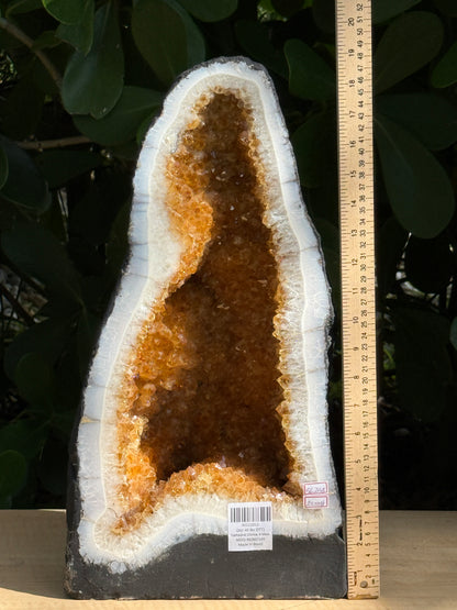 X-Large Citrine Cathedral, Citrine Geode, Honey Citrine Cluster, Pick a Weight