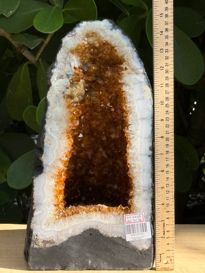 X-Large Citrine Cathedral, Citrine Geode, Honey Citrine Cluster, Pick a Weight