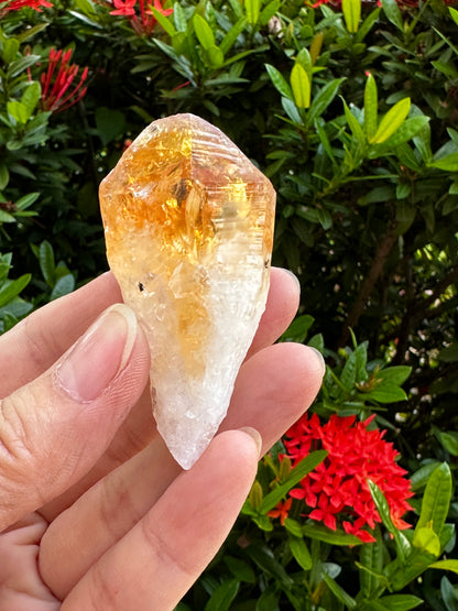 Extra Large Natural Citrine Point - Healing Crystal 2-3" | Citrine Point for Energy & Wellness