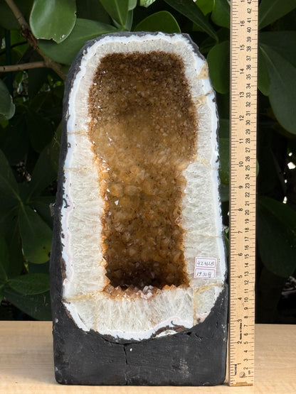 X-Large Citrine Cathedral, Citrine Geode, Honey Citrine Cluster, Pick a Weight