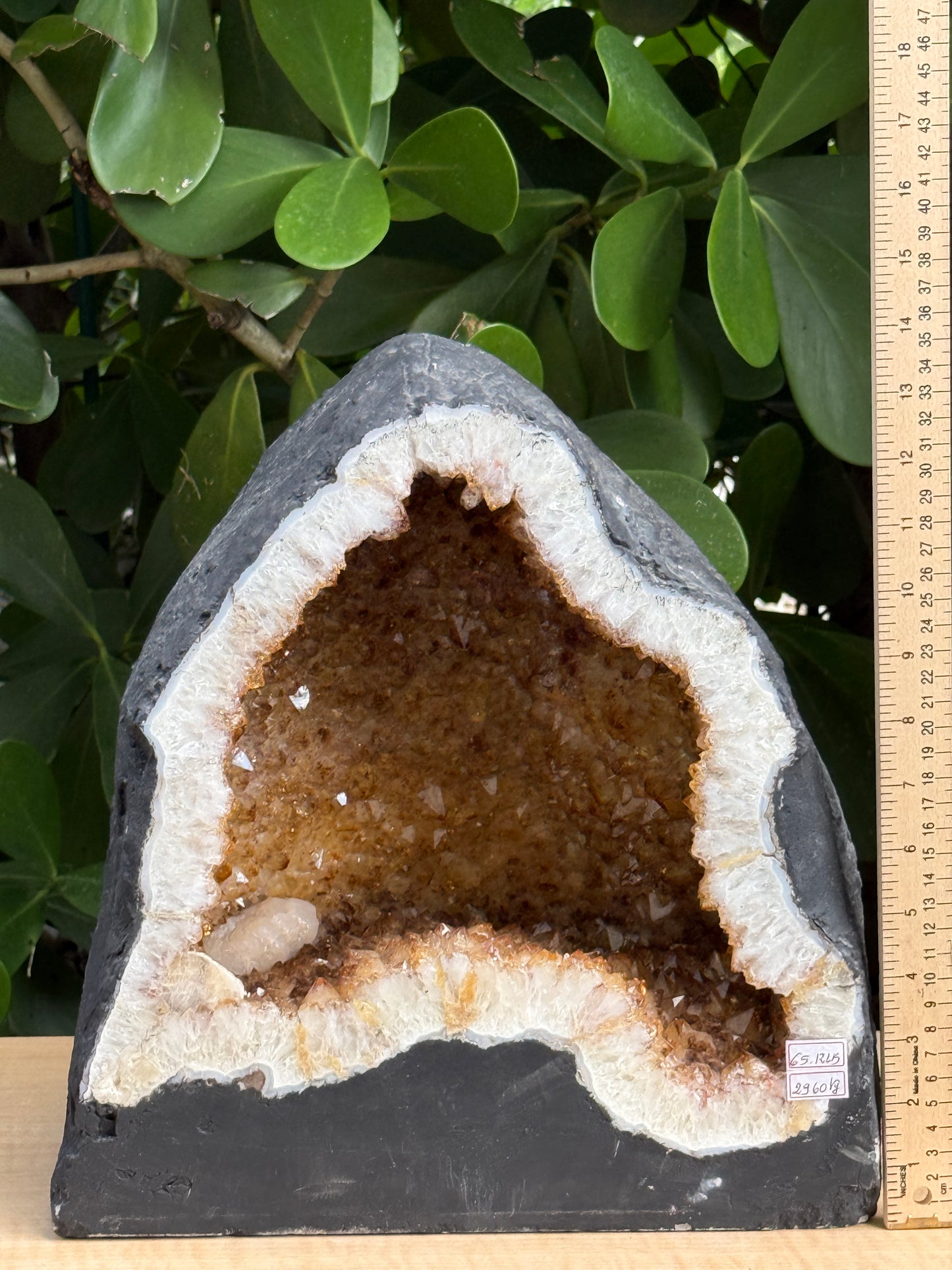 X-Large Citrine Cathedral, Citrine Geode, Honey Citrine Cluster, Pick a Weight