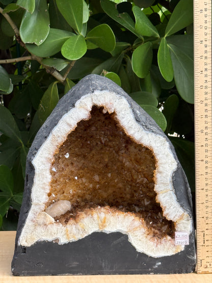 X-Large Citrine Cathedral, Citrine Geode, Honey Citrine Cluster, Pick a Weight
