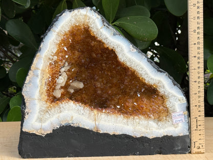 X-Large Citrine Cathedral, Citrine Geode, Honey Citrine Cluster, Pick a Weight
