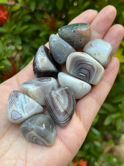 Grade A++ Botswana Agate Pebble, Botswana Agate Palm Stones, Wholesale Bulk Lot