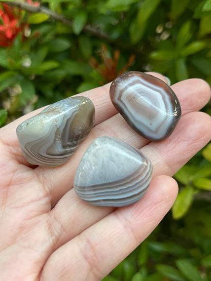 Grade A++ Botswana Agate Pebble, Botswana Agate Palm Stones, Wholesale Bulk Lot