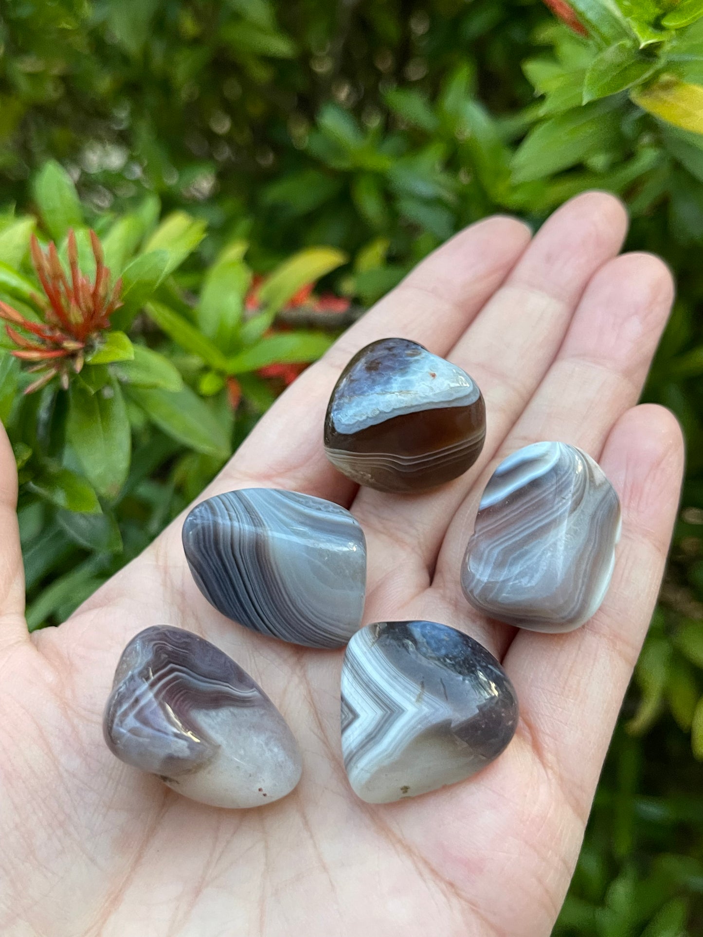 Grade A++ Botswana Agate Tumbled Stones 0.75-1 Inch, Pick How Many